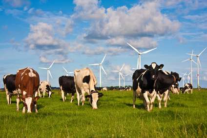 Windenergieanlagen nutzen die Kraft des Windes zur Stromerzeugung