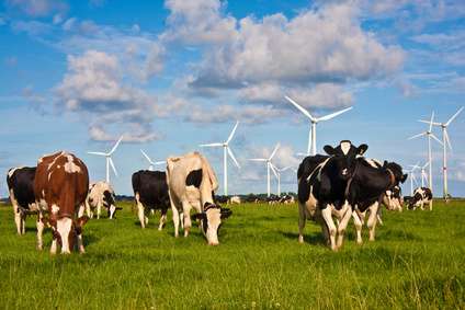 Windenergieanlagen nutzen die Kraft des Windes zur Stromerzeugung
